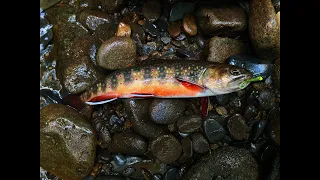 Brook Trout Fishing in the Great Smoky Mountains