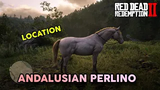 Rare Andalusian Perlino Horse Location - RDR2