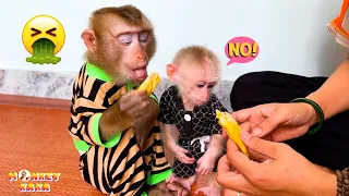 Mom sad because Monkey Kaka and Monkey Mit do not like eating durian