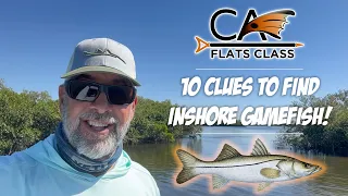 10 Clues To Find Inshore Gamefish! | Flats Class YouTube