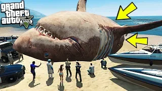 Я ПОЙМАЛ МЕГАЛОДОНА! НАШЁЛ САМУЮ БОЛЬШУЮ АКУЛУ ГТА 5 МОДЫ! ОБЗОР МОДА В GTA 5! ИГРЫ ГТА ВИДЕО MODS