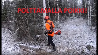 Metsolan Metsäkoulu 233 - RAIVAAJAN TOP 6 VIRHETTÄ