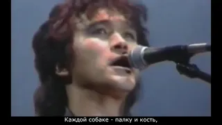 песня без слов (кавер на концертную версию+акапелла)