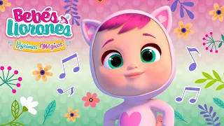 😻🎤 AMIGAS SIEMPRE AMIGAS 🎤😻 KARAOKE 🎶 BEBÉS LLORONES 💧 LÁGRIMAS MÁGICAS 💕 CANCIONES INFANTILES