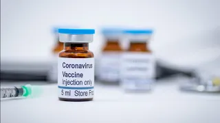 The Path to an Effective COVID-19 Vaccine