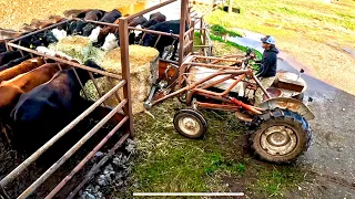 New Feeder Demonstration and Building the Rear Gate for the Feeder Wagon