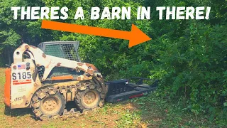 Using a Generic Brush Cutter to uncover an Abandoned Farm! (Will it Hold Up?)