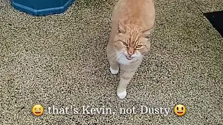 😆 that's Kevin, not Dusty 😃