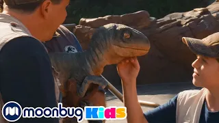 Parque temático de dinosaurios para niños con Indominus Rex, T-Rex y Raptor