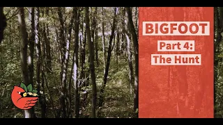 Bigfoot Part 4:  The Hunt