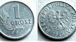POLAND 1949 1 GROSZ Coin VALUE + REVIEW
