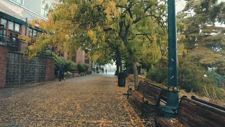 Portland Walk in the Rain, Downtown Fall 2022