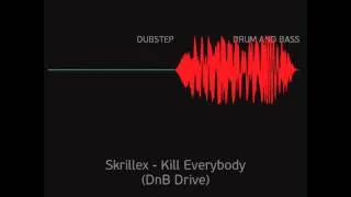 DUBSTEP vs. DRUM AND BASS.wmv