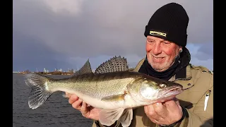 Zicht op zeebaars met Dikke "winter" boemen!