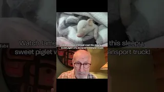 The incredible James Cromwell is meeting Babe for the first time! 💗🐷