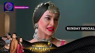 Ishq Ki Dastaan Naagmani | 20 May 2023 Sunday Special इश्क़ की दास्तान नागमणि | Dangal TV