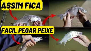 Pescaria de Praia nas Pedras com Ultralight - Pesca com Iscas Artificiais a noite em Florianópolis