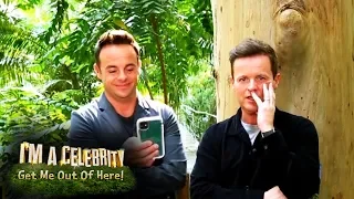 Ant & Dec Play Jumble in the Jungle | I'm A Celebrity... Get Me Out Of Here!