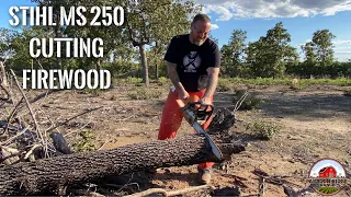 What is the best Chainsaw for cutting firewood on the Homestead? The Stihl Chainsaw MS 250