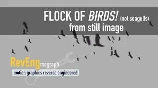 Animating Flock of Birds from still image