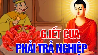 Nhân Quả Báo Ứng: ĂN THỊT CUA 🙏🙏 Quả Báo Sát Sinh Và Hậu Quả Về Sau Rất Đáng Sợ ~ Nhân Quả Radio