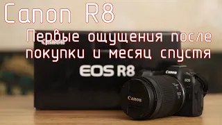 Canon R8. Первые ощущения после покупки и месяц спустя.