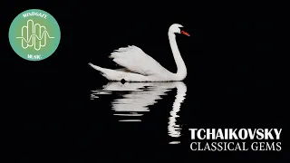 Tchaikovsky | Classical Gems