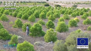 Reforestation anti-desertification in Los Monegros Desert Zaragoza Spain with Groasis