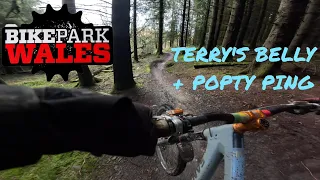 Bike Park Wales // Popty Ping + Terry's Belly