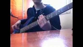 Red Hot Chili Peppers - Cant Stop(Bass cover)