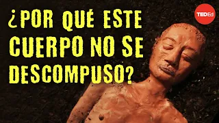 ¿Por qué este cuerpo de 2000 años no se descompuso? - Carolyn Marshall