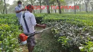 TEA PRUNER OF AGROSOFT