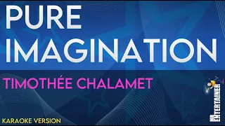 Pure Imagination - Timothée Chalamet (KARAOKE)