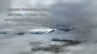 Пророцтво Моліться і не опускайте руки...02.2023