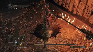 Ds2 Hitboxes #66