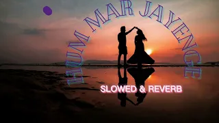 Hum mar jayenge. Slowed & Reverb. Arijit singh #arijitsingh #hindisong  #slowed #reverb