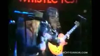 Lynyrd Skynyrd- Sweet Home Alabama Live Video