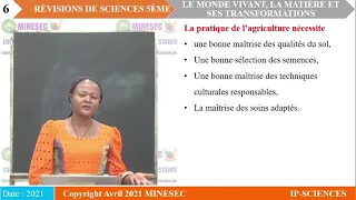 IP-SC SCIENCES 5ème Révisions phase1 le monde vivant la matière et ses transformations