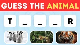 Guess The Animal By Their First and Last Letter 🦍🦁🐅 | @RiddleRift538 #quiz
