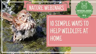 10 Simple Ways To Help Wildlife in Your Backyard (Webinar recorded 4/10/21)