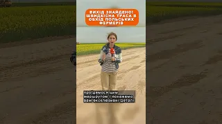 ⚡️ Вихід знайдено! Швидкісна траса в обхід польських фермерів