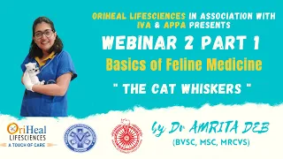 Basics of Feline Medicine. The Cat Whiskers. Webinar 2 Part 1