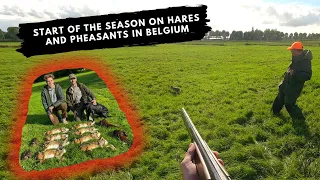 Start of the season on hares and pheasants - Hunting duck,hare and pheasant in Belgium