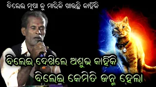 ବିଲେଇ ଦେଖିଲେ ଅଶୁଭ କାହିଁକି।Gahani Ganti।Odia Gahani।Kothisala Gahani।Prashna uttara @RKstudiopage