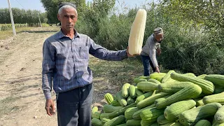 Не ожидал , что Это Увижу в Узбекистане!!!Ферганская Долина!!!