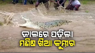 Crocodile Caught By Villagers In Kendrapara [WATCH]