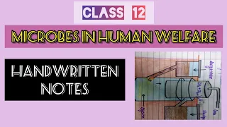 Microbes in human welfare Class 12 Biology Handwritten Notes...