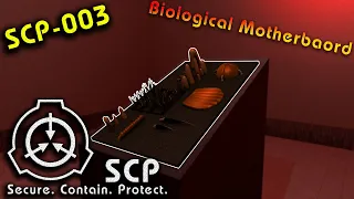 SCP Reading | SCP-003 - Biological Motherboard