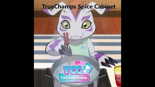 TCG Series Spice Cabinet 9/1