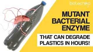 Mutant Bacterial Enzyme Discovered That Can Degrade Plastics In Hours!